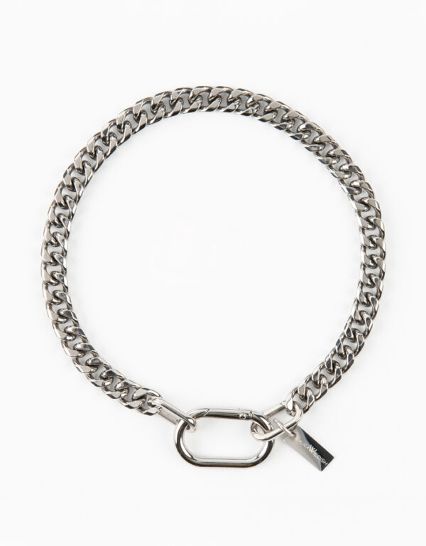 ALL EYES ON YOU WATERPROOF SILVER CURB CHAIN NECKLACE